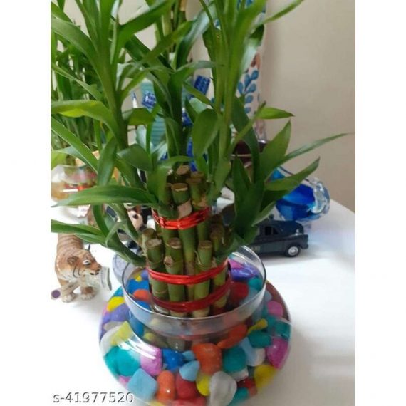 1KG Decorative Polished Candy Style Assymetric Aquarium And Vase Fillers Marble Pebbles For Home & Garden Decor Regular Asymmetrical Marble Stone (Mixed Sized- 1KG)